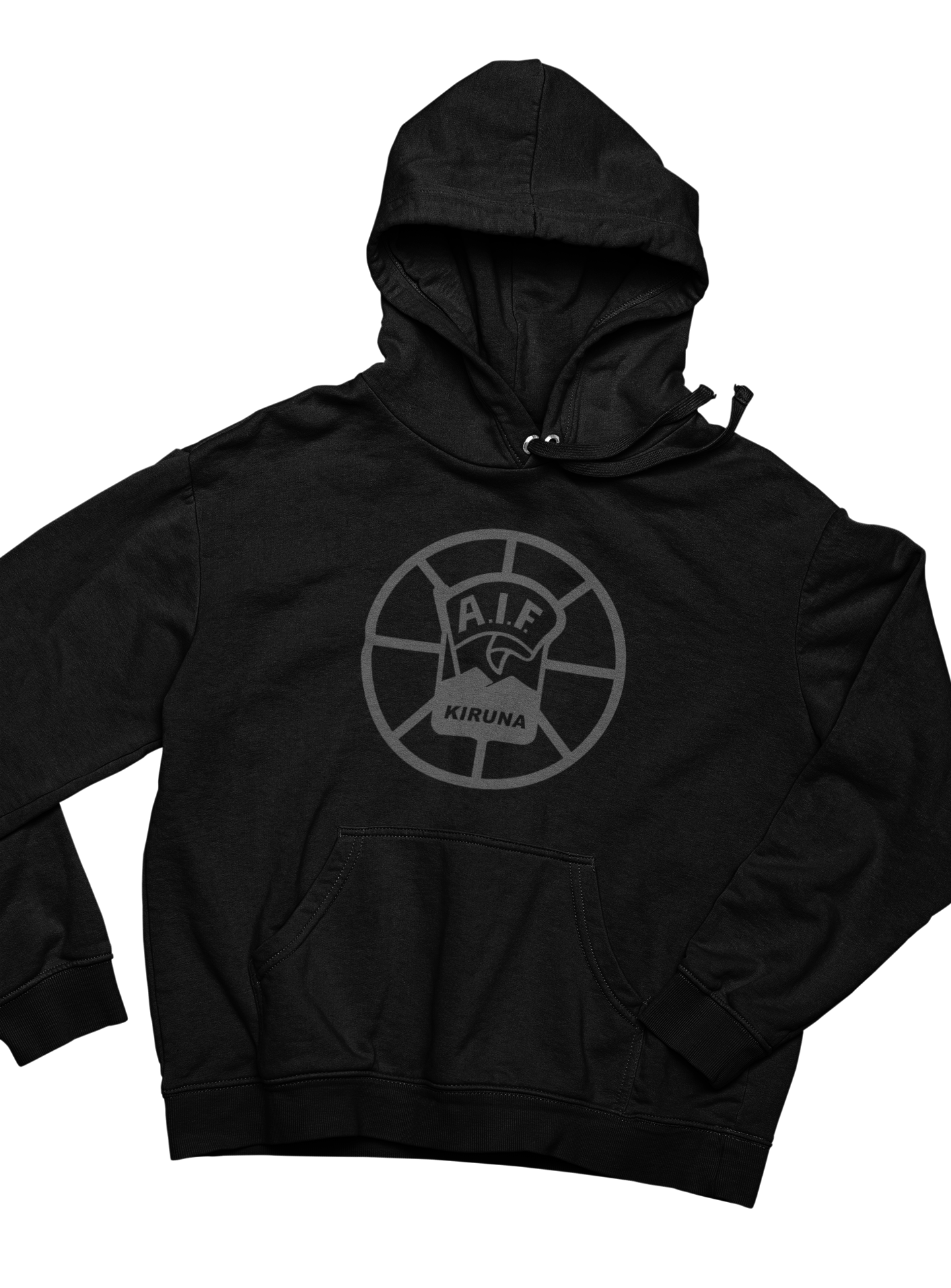 AIF Hoodie Grå logo stor